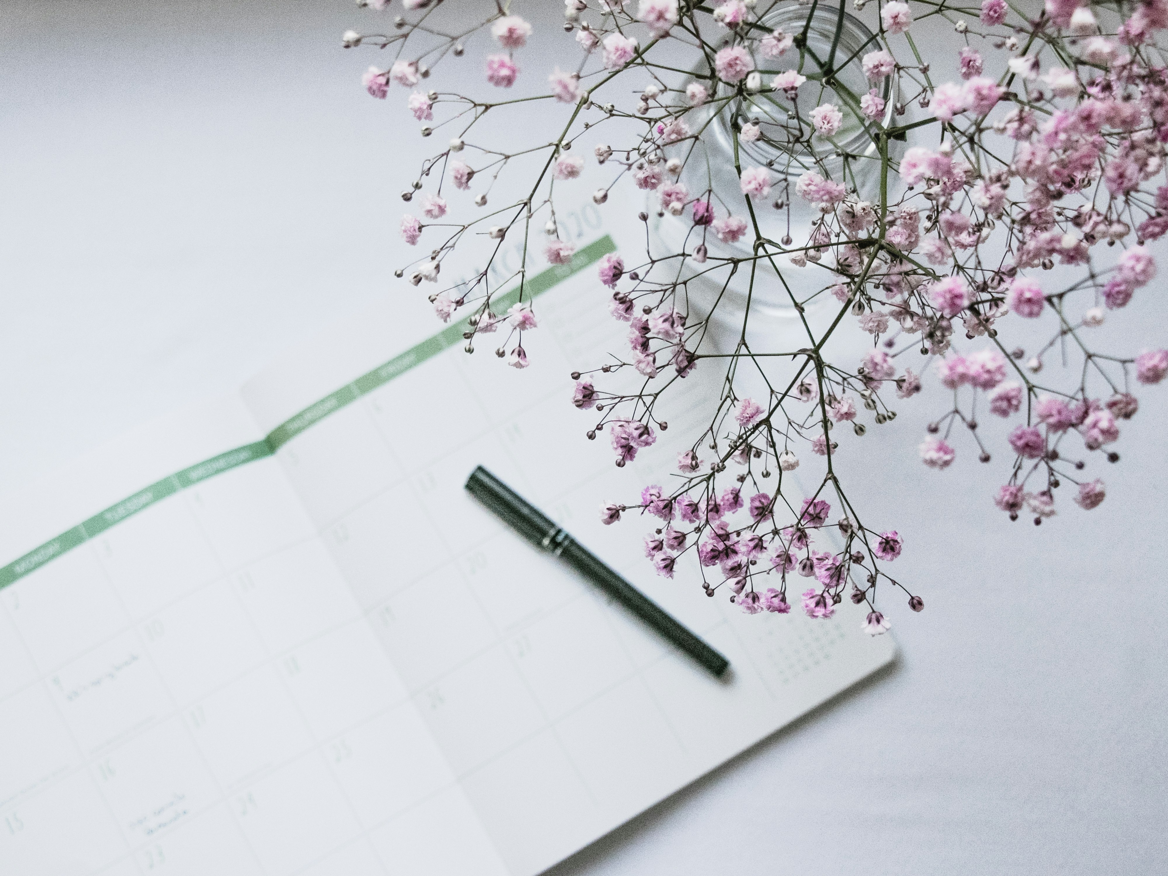 pink flowers on white paper